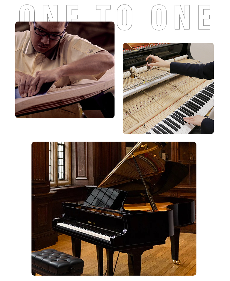Betway必威App体育
零接触钢琴选购服务-全国优选经销商第二期推介